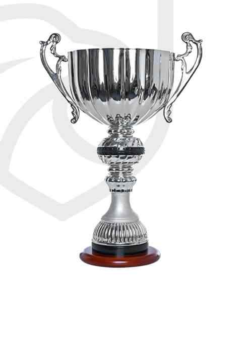 http://localhost/wp-content/uploads/2022/11/trophy_overlay_01.jpg