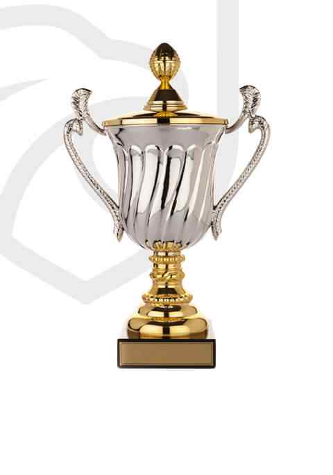 http://localhost/wp-content/uploads/2022/11/trophy_overlay_02.jpg